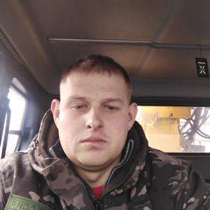 Денис, 33 года, Алексеевка