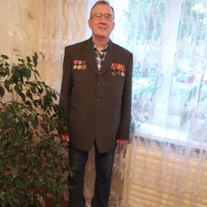 Салих, 72 года, Уфа