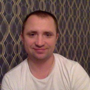 Николай Поспелов, 39 лет, Вологда