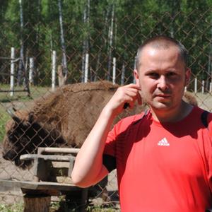 Сергей, 48 лет, Сасово