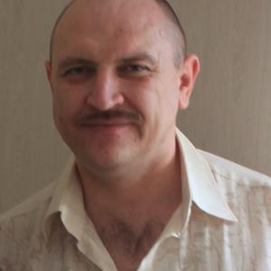 Владимир, 49 лет, Сосновый Бор