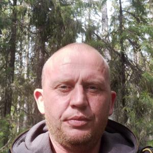 Олег, 38 лет, Троицк