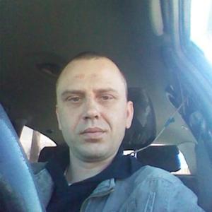 Сергей Алексеев, 44 года, Тверь