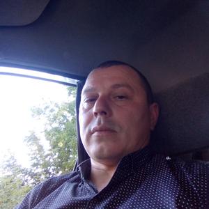 Александр, 45 лет, Алтайский