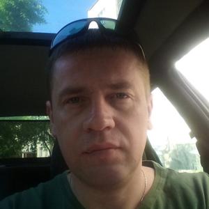 Aleksej, 43 года, Бобруйск