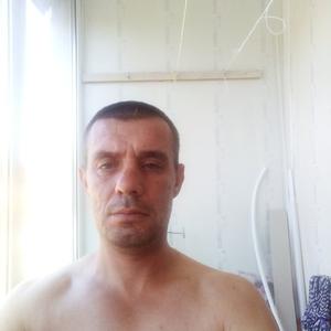 Вадим, 46 лет, Тула