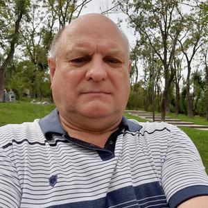 Геннадий Мишаков, 65 лет, Владивосток
