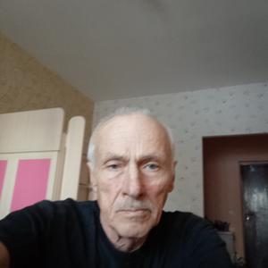 Владимтр, 69 лет, Новосибирск