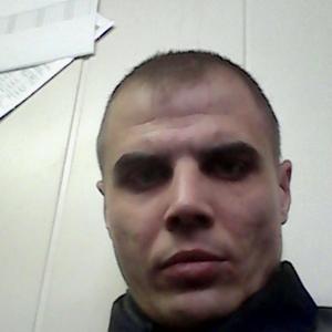 Алексей Борисевич, 40 лет, Череповец