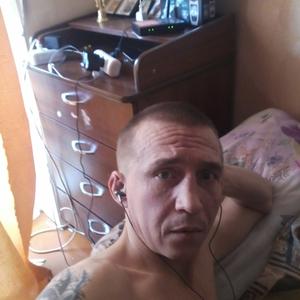 Олег, 35 лет, Александров