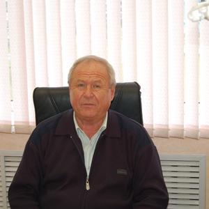 Рамиль Фатхуллин, 73 года, Нижнекамск
