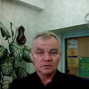 Борис, 72 года, Челябинск