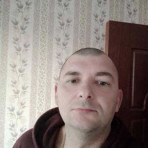 Владимир, 43 года, Железногорск