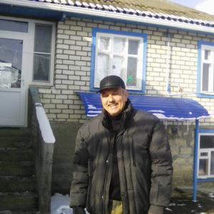 Иван, 67 лет, Ставрополь