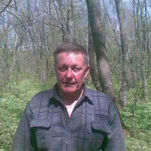 Сергей Егошин, 62 года, Ростов-на-Дону