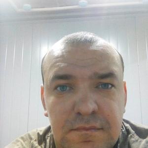 Николай, 36 лет, Зеленогорский