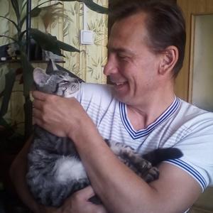Алексей, 53 года, Голицыно