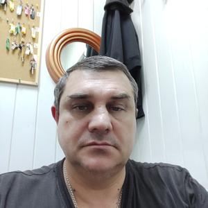 Вадим, 53 года, Краснодар
