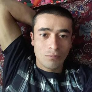 Умид, 30 лет, Ташкент