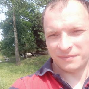 Парни в Правдинске: Дмитрий, 36 - ищет девушку из Правдинска