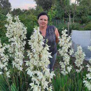 Татьяна, 53 года, Курск