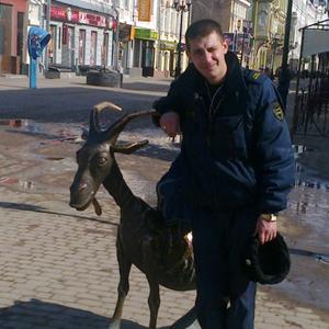 Александр, 41 год, Ломоносов