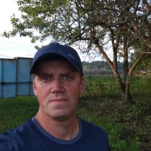 Дмитрий, 44 года, Вологда