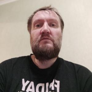 Дмитрий, 45 лет, Мытищи
