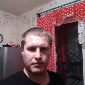 Парни в Белая Холунице: Алексей, 35 - ищет девушку из Белая Холуницы