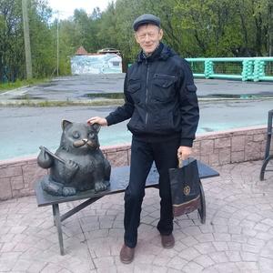 Парни в Мурманске: Леонид, 73 - ищет девушку из Мурманска