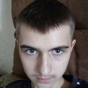Арсений, 23 года, Волгодонск