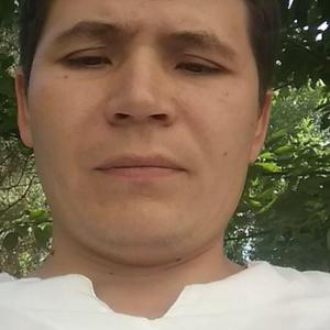 Shaxboz, 33 года, Ташкент