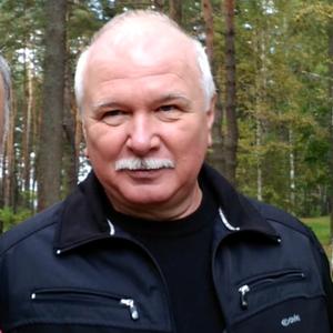 Василий, 68 лет, Санкт-Петербург