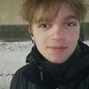 Парни в Шахты: Анисимов Вячеслав, 23 - ищет девушку из Шахты
