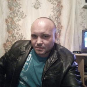 Сергей, 43 года, Вологда
