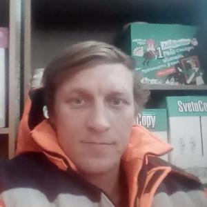 Сергей Котов, 38 лет, Чехов