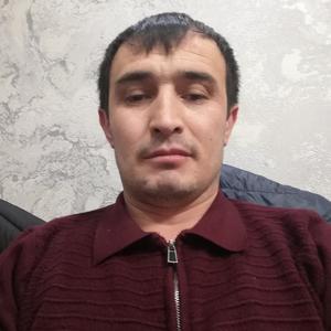 Дима, 36 лет, Сургут