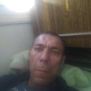 Лентяй, 59 лет, Стерлитамак