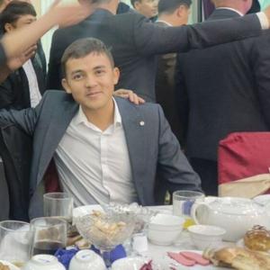 Ойбек, 27 лет, Ташкент