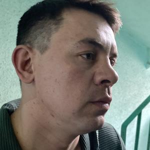 Виталий, 39 лет, Тверь