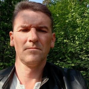 Макс, 44 года, Кольчугино