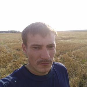 Рамис, 31 год, Татарстан