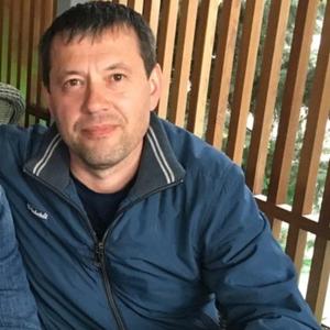 Xel, 43 года, Белгород