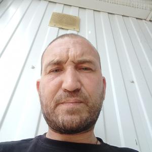 Дмитрий, 42 года, Кореновск