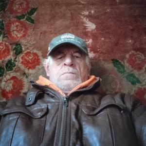 Виктор, 67 лет, Курск
