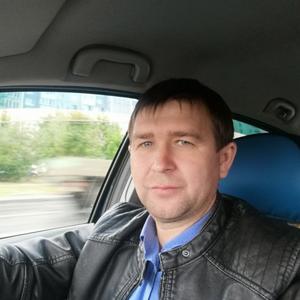Михаил Золотов, 43 года, Липецк