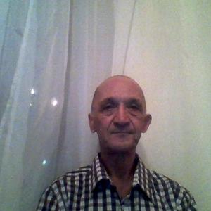 Роман, 68 лет, Димитровград