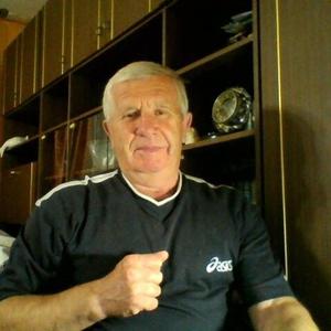 Игорь Костоглод, 74 года, Черняховск