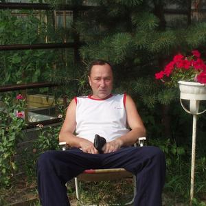 Владимир, 66 лет, Нижневартовск