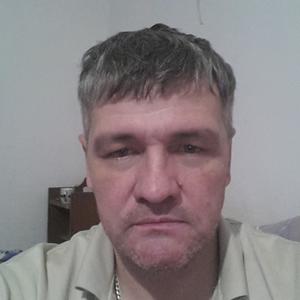 Игорь Бумагин, 53 года, Тольятти
